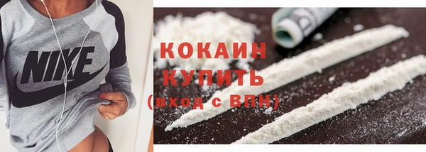 твердый Пересвет