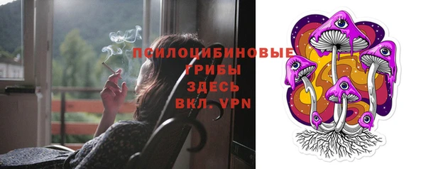 ГАЛЛЮЦИНОГЕННЫЕ ГРИБЫ Алзамай