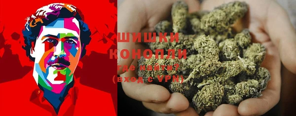 ГАЛЛЮЦИНОГЕННЫЕ ГРИБЫ Алзамай