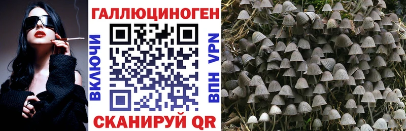 Галлюциногенные грибы мицелий  дарк нет формула  Староминская 