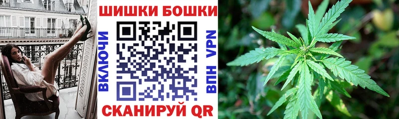 Бошки Шишки план Староминская